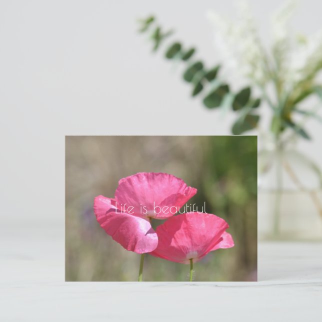 Pink Poppies  Postcard (Standing Front)