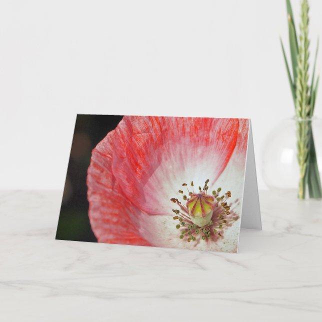 Pink Poppy Birthday Card (Front)