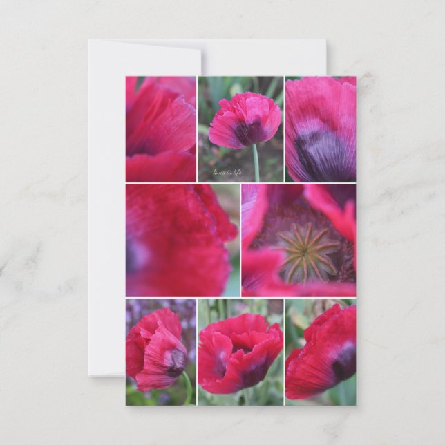 Pink Poppy Collage  Note Card (Front)
