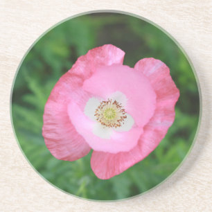 Pink Poppy Drink Coaster