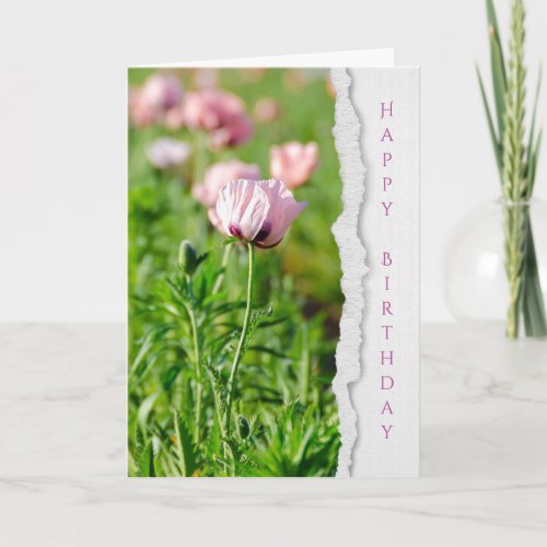 Pink Poppy flower birthday Card