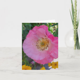 Pink Poppy Flower in the Summer  Card
