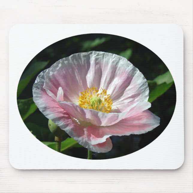 Pink Poppy Mouse Pad (Front)