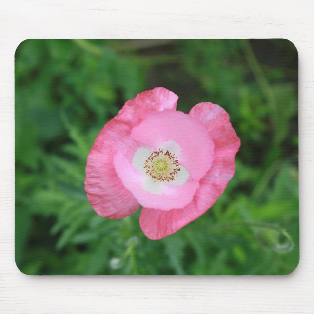 Pink Poppy Mouse Pad (Front)