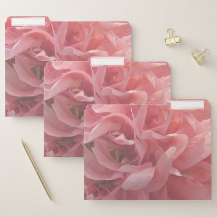 Pink Poppy Petals Floral File Folder Set