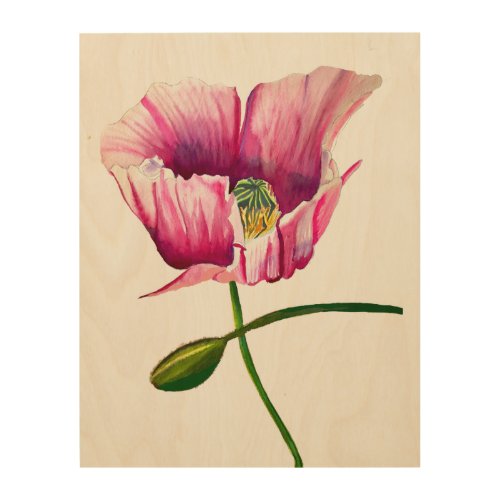 Pink Poppy watercolor flower pretty art