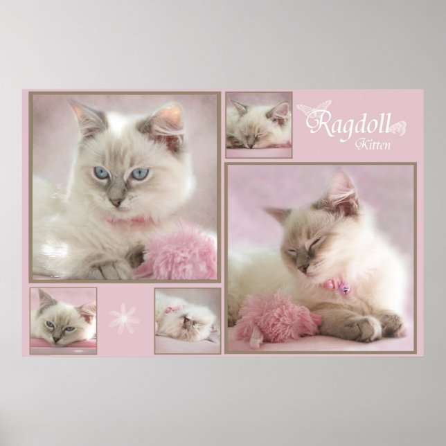 pink poster (Front)
