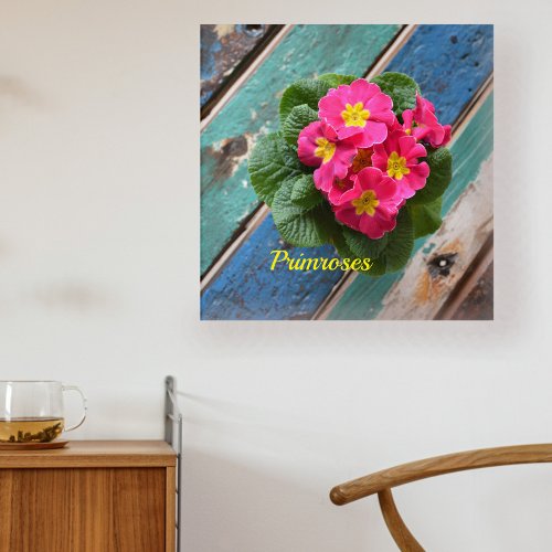 Pink Primroses Photographic Floral Botanical Acrylic Print