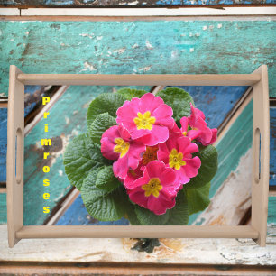 Pink Primroses Photographic Floral Botanical Serving Tray