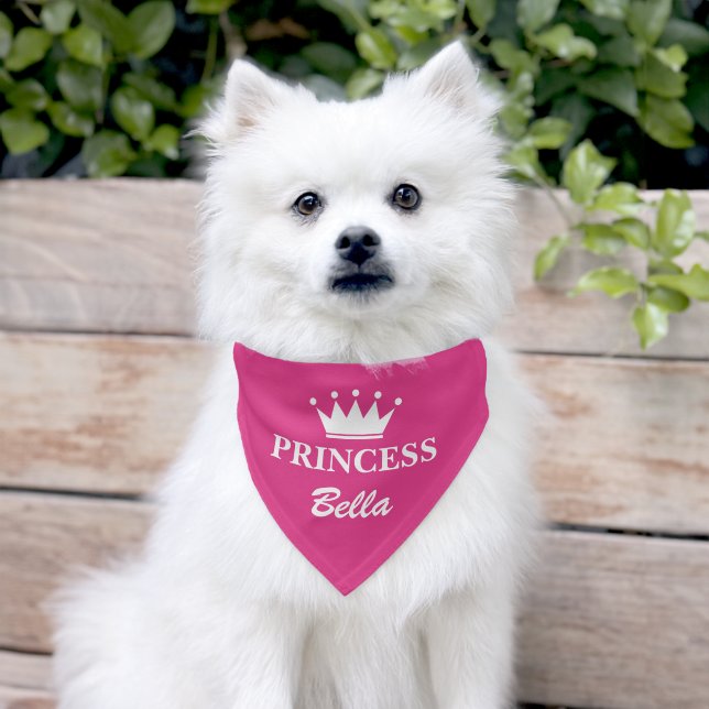 Pink princess crown custom dog name pet bandana collar (Dog)