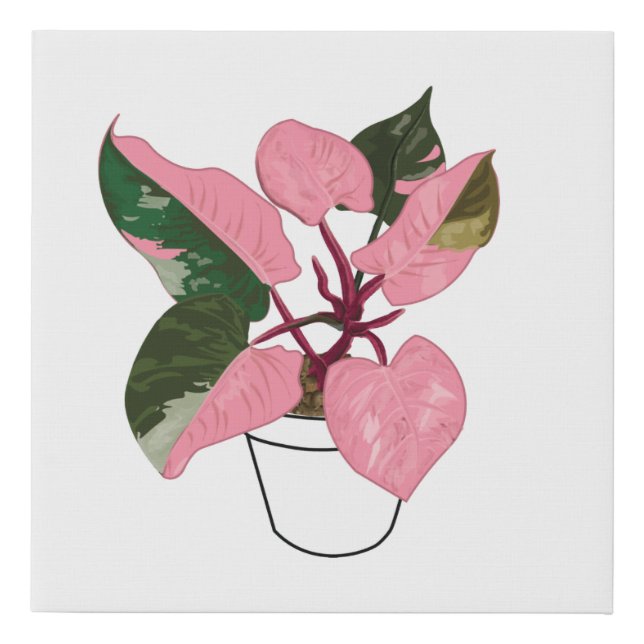 Pink Princess Philodendron  Faux Canvas Print (Front)