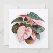 Pink Princess Philodendron Illustration (Front)