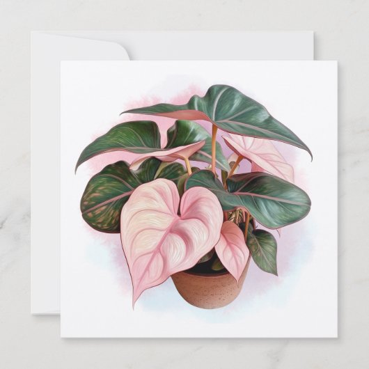 Pink Princess Philodendron Illustration (Front)