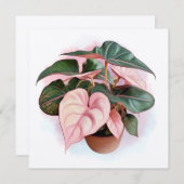 Pink Princess Philodendron Illustration (Front/Back)