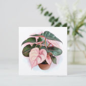 Pink Princess Philodendron Illustration (Standing Front)