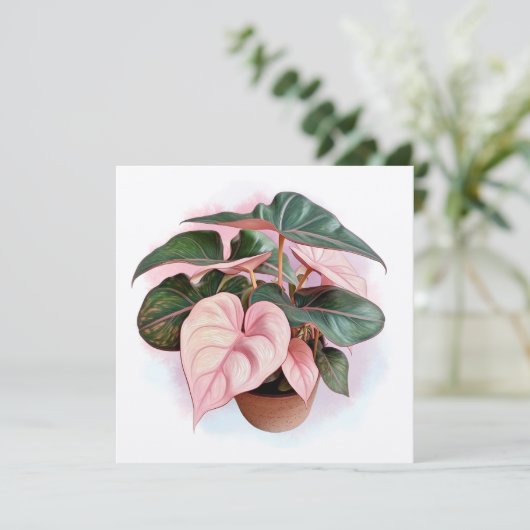 Pink Princess Philodendron Illustration (Standing Front)