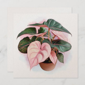 Pink Princess Philodendron Illustration