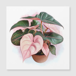 Pink Princess Philodendron Illustration