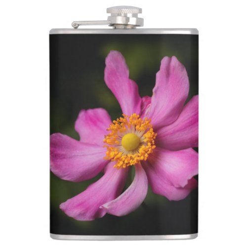 Pink Prinz Heinrich Japanese Anemone Flower Hip Flask