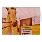 Pink Private Property Horse (Front Horizontal)