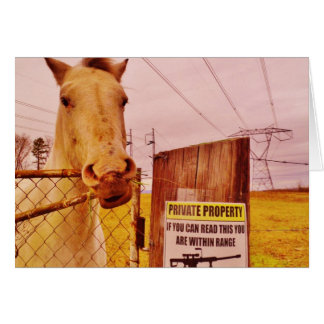 Pink Private Property Horse Cards
