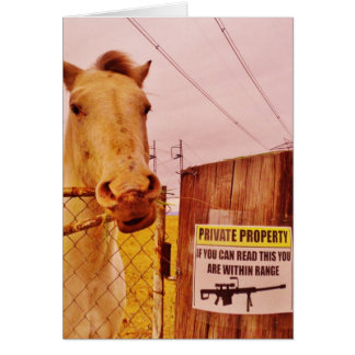 Pink Private Property Horse Cards
