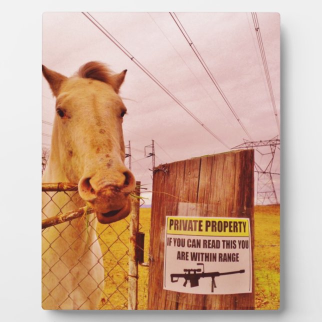 Pink Private Property Horse Plaque (Front)