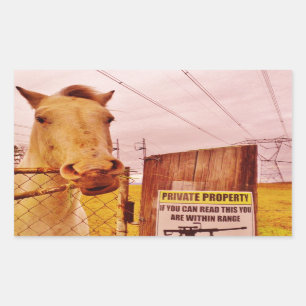 Pink Private Property Horse Rectangular Sticker