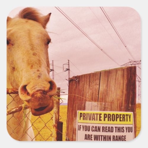 Pink Private Property Horse Square Sticker