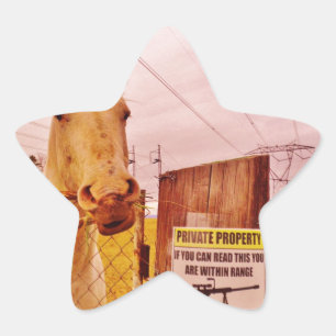 Pink Private Property Horse Star Sticker