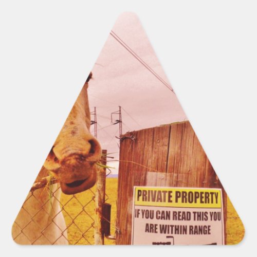 Pink Private Property Horse Triangle Sticker