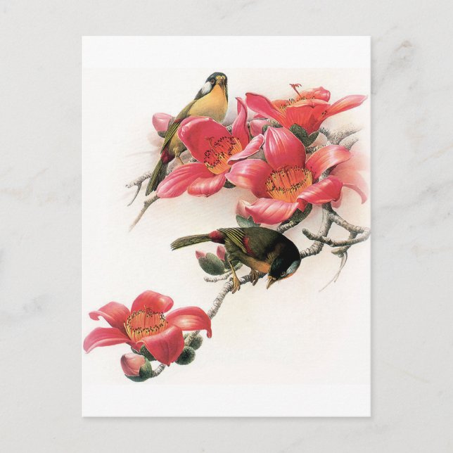 Pink Profusion Postcard (Front)