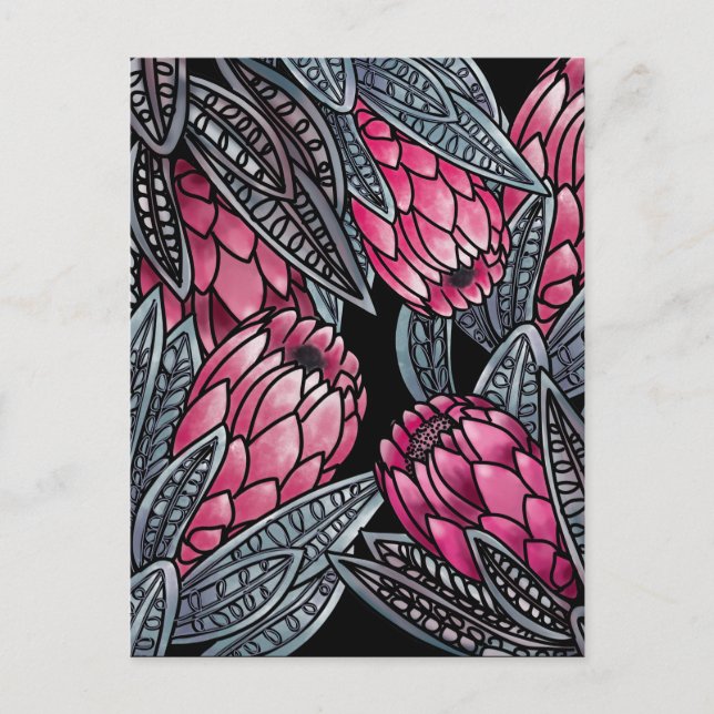 Pink Protea exotic flower Postcard (Front)