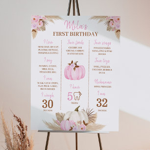 Pink Pumpkin 1st Birthday Milestone Sign