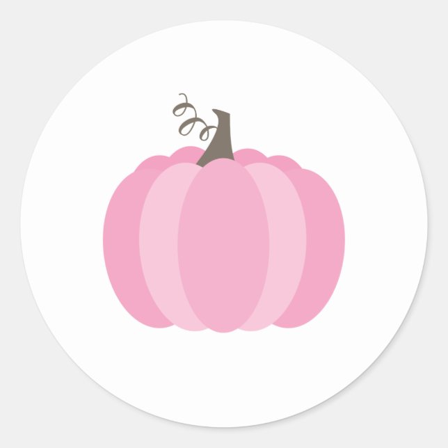 Pink Pumpkin Classic Round Sticker (Front)