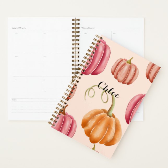 Pink Pumpkins  Planner (Display)