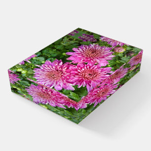 Pink-Purple Chrysanthemums with Raindrops Paperweight