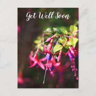 Pink Purple Colorful Fuchsia Flower Get Well Soon Holiday Postcard