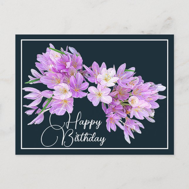 Pink/Purple Crocus Gray Backdrop Happy Birthday Postcard (Front)