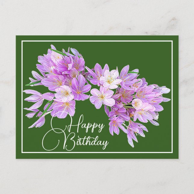 Pink/Purple Crocus Green Backdrop Happy Birthday Postcard (Front)