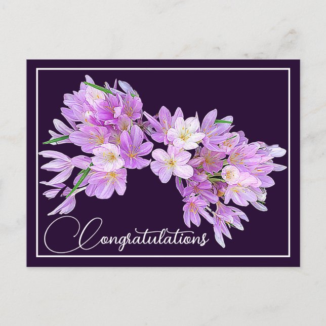 Pink/Purple Crocus Purple Backdrop Congratulations Postcard (Front)