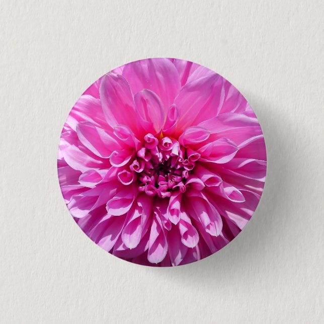 Pink Purple Dahlia Flower  Button (Front)