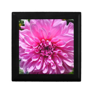 Pink Purple Dahlia Flower Gift Box