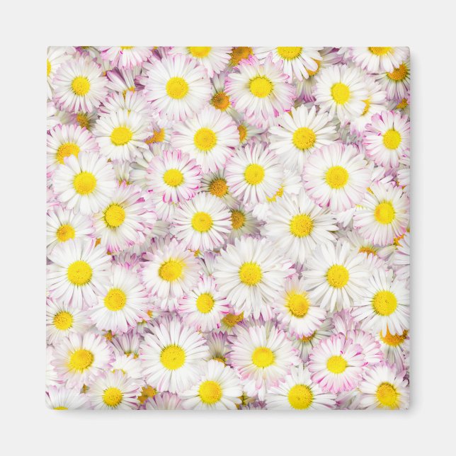 Pink Purple Daisy Flower Pattern Magnet (Front)