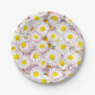 Pink Purple Daisy Flower Pattern Paper Plates