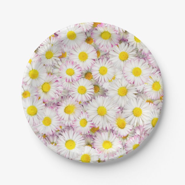 Pink Purple Daisy Flower Pattern Paper Plates (Front)
