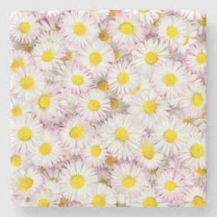 Pink Purple Daisy Flower Pattern Stone Coaster