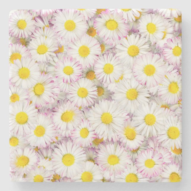 Pink Purple Daisy Flower Pattern Stone Coaster (Front)