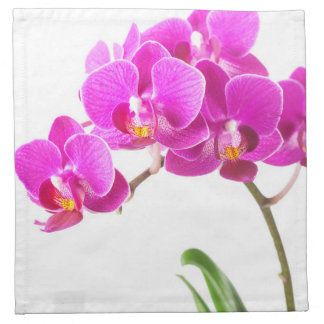 Pink Purple Dendrobium Orchid Tropical Flower Napkin