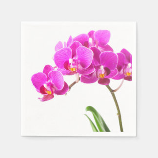 Pink Purple Dendrobium Orchid Tropical Flower Napkins